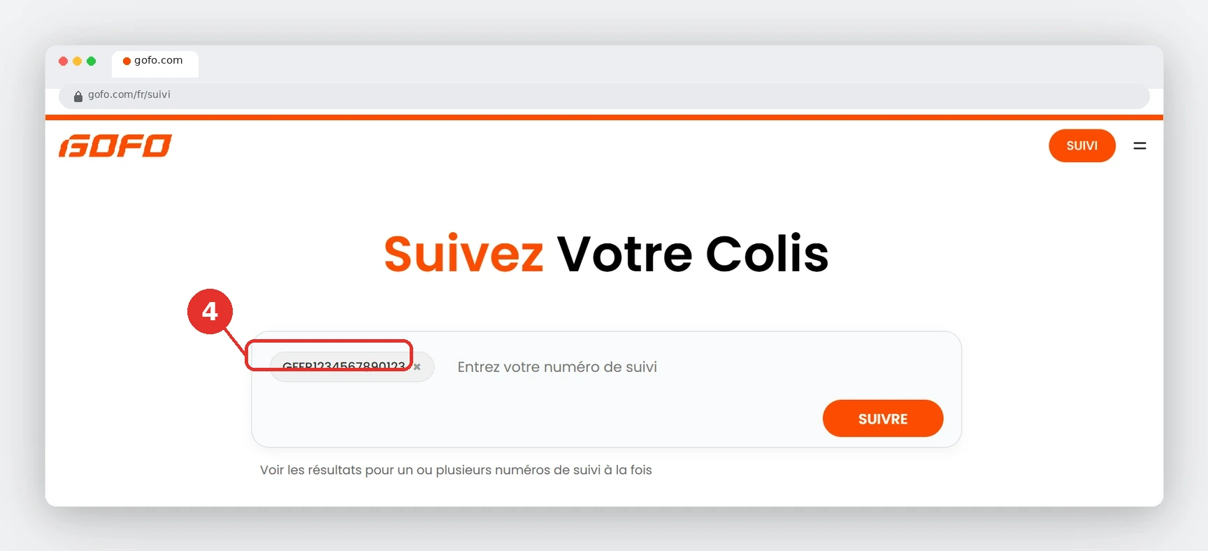 GOFO Tracking by Country 5 GOFO Track Your Package page with a tracking number entered and the Track button highlighted